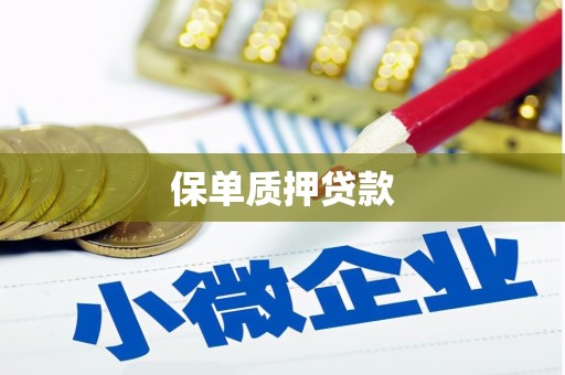 吴忠保单质押贷款