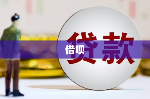 吴忠借呗