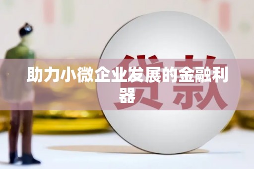 吴忠助力小微企业发展的金融利器