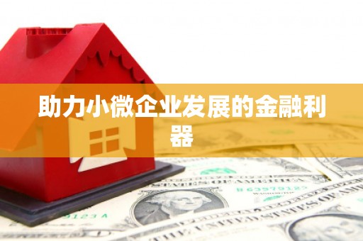 吴忠助力小微企业发展的金融利器