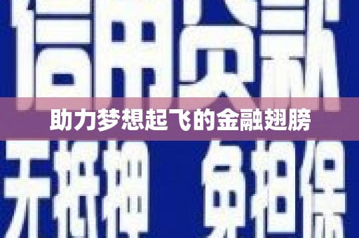 吴忠助力梦想起飞的金融翅膀