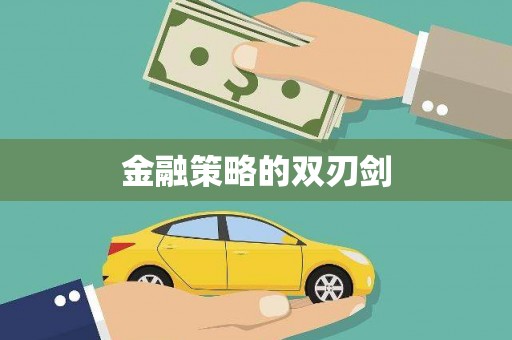 吴忠金融策略的双刃剑