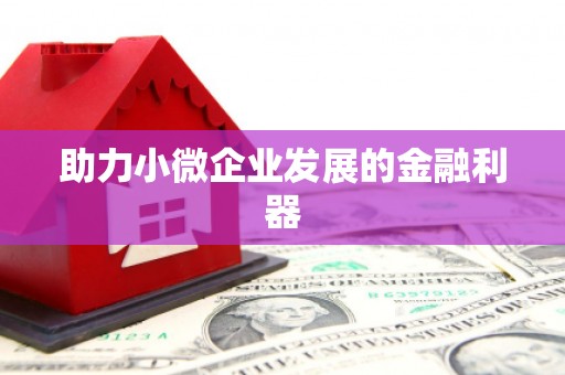 吴忠助力小微企业发展的金融利器