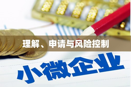 吴忠理解、申请与风险控制