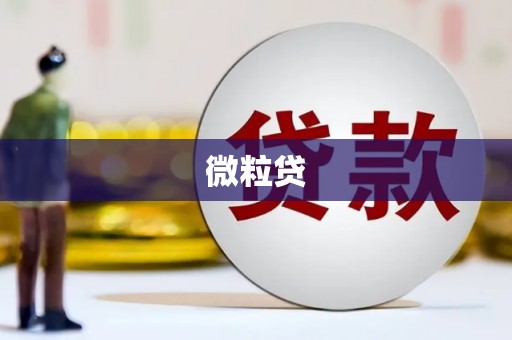 吴忠微粒贷