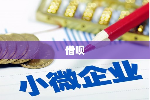 吴忠借呗