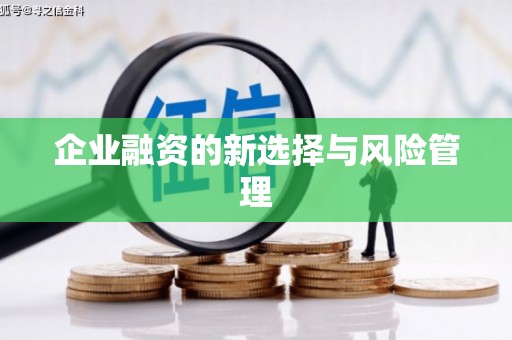 吴忠企业融资的新选择与风险管理