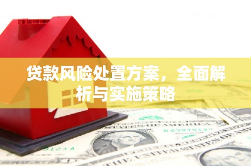 吴忠贷款风险处置方案，全面解析与实施策略