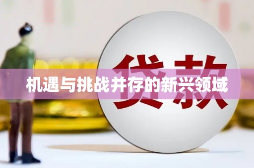 吴忠机遇与挑战并存的新兴领域