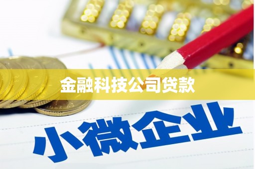 吴忠金融科技公司贷款