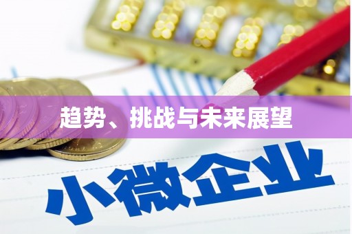 吴忠趋势、挑战与未来展望