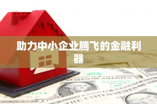 吴忠助力中小企业腾飞的金融利器