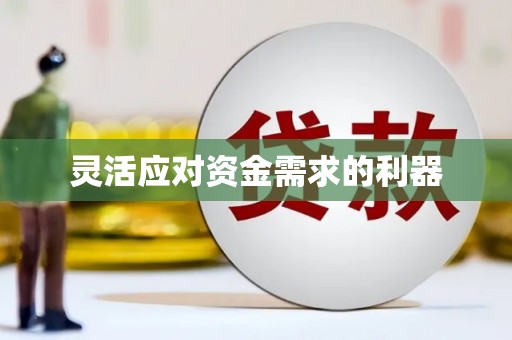 吴忠灵活应对资金需求的利器