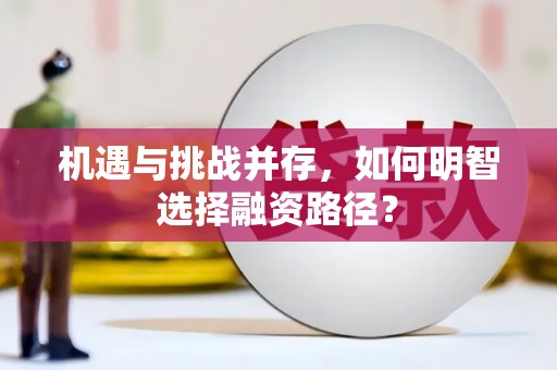 吴忠机遇与挑战并存，如何明智选择融资路径？