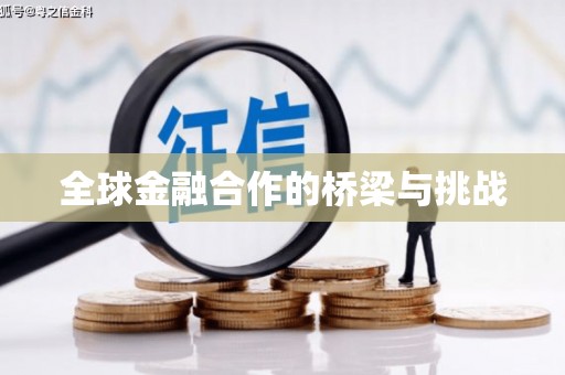 吴忠全球金融合作的桥梁与挑战