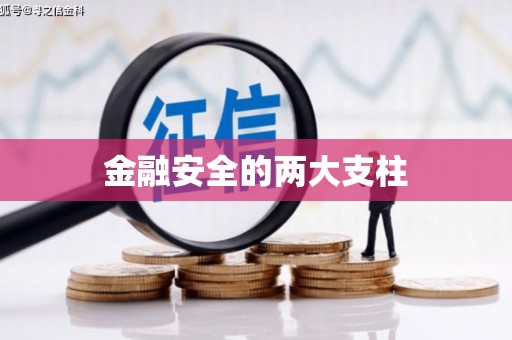 吴忠金融安全的两大支柱