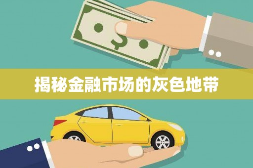 吴忠揭秘金融市场的灰色地带