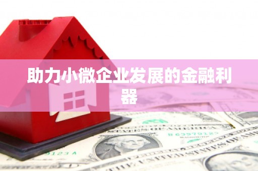 吴忠助力小微企业发展的金融利器