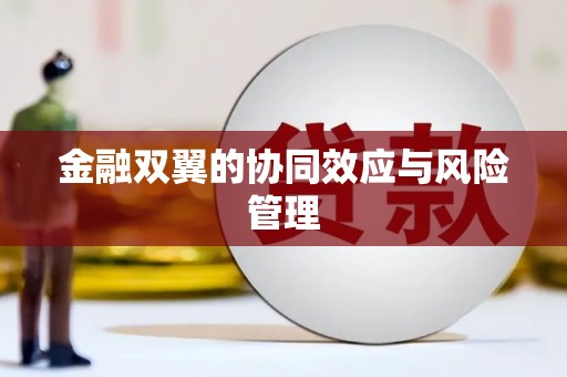 吴忠金融双翼的协同效应与风险管理
