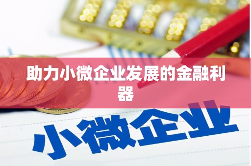 吴忠助力小微企业发展的金融利器