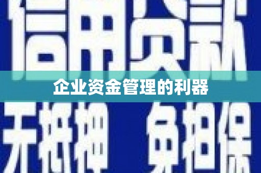 吴忠企业资金管理的利器