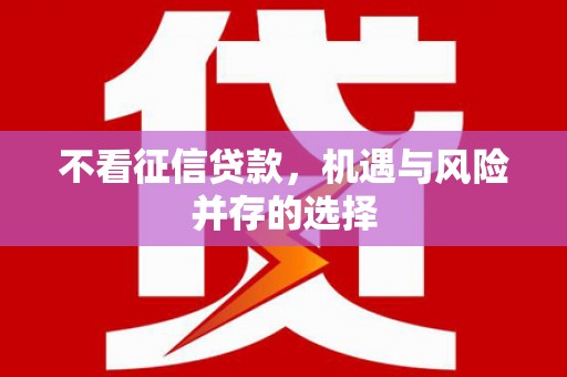 吴忠不看征信贷款，机遇与风险并存的选择