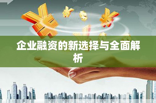 吴忠企业融资的新选择与全面解析