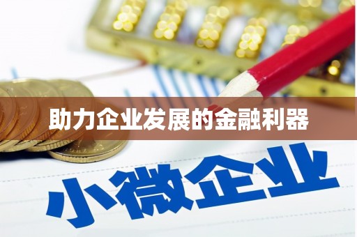 吴忠助力企业发展的金融利器