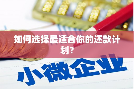 吴忠如何选择最适合你的还款计划？