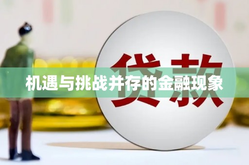 吴忠机遇与挑战并存的金融现象