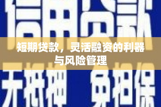 吴忠短期贷款，灵活融资的利器与风险管理