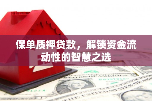 吴忠保单质押贷款，解锁资金流动性的智慧之选
