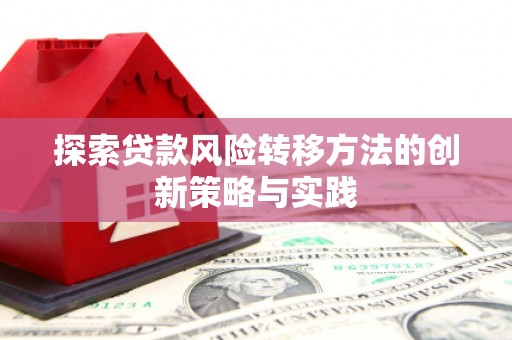 吴忠探索贷款风险转移方法的创新策略与实践
