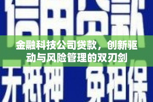 吴忠金融科技公司贷款，创新驱动与风险管理的双刃剑