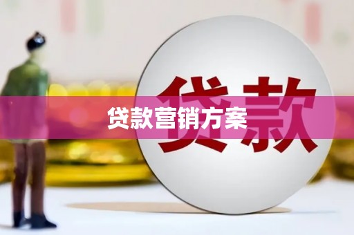 吴忠贷款营销方案